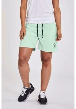 U.S. Polo Assn. Asra- Shorts - Misty Jade